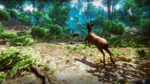 Hunter 3D Archery Game