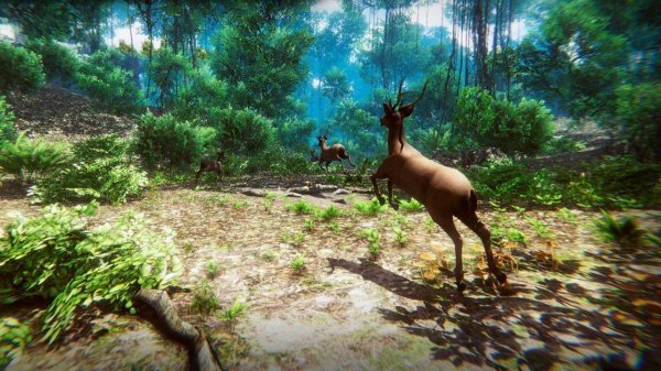 Hunter 3D Online Game