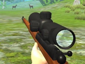 Hunter 3D Shooting Game Online