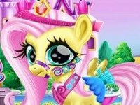 Pony Care and Dress Up