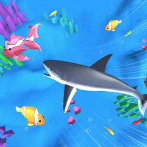 Ocean Growth Journey